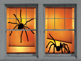Shady Spiders 34.5"x60" Backlit Posters