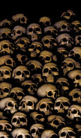 House Full of Skulls (4) 34.5"x60" Backlit Posters